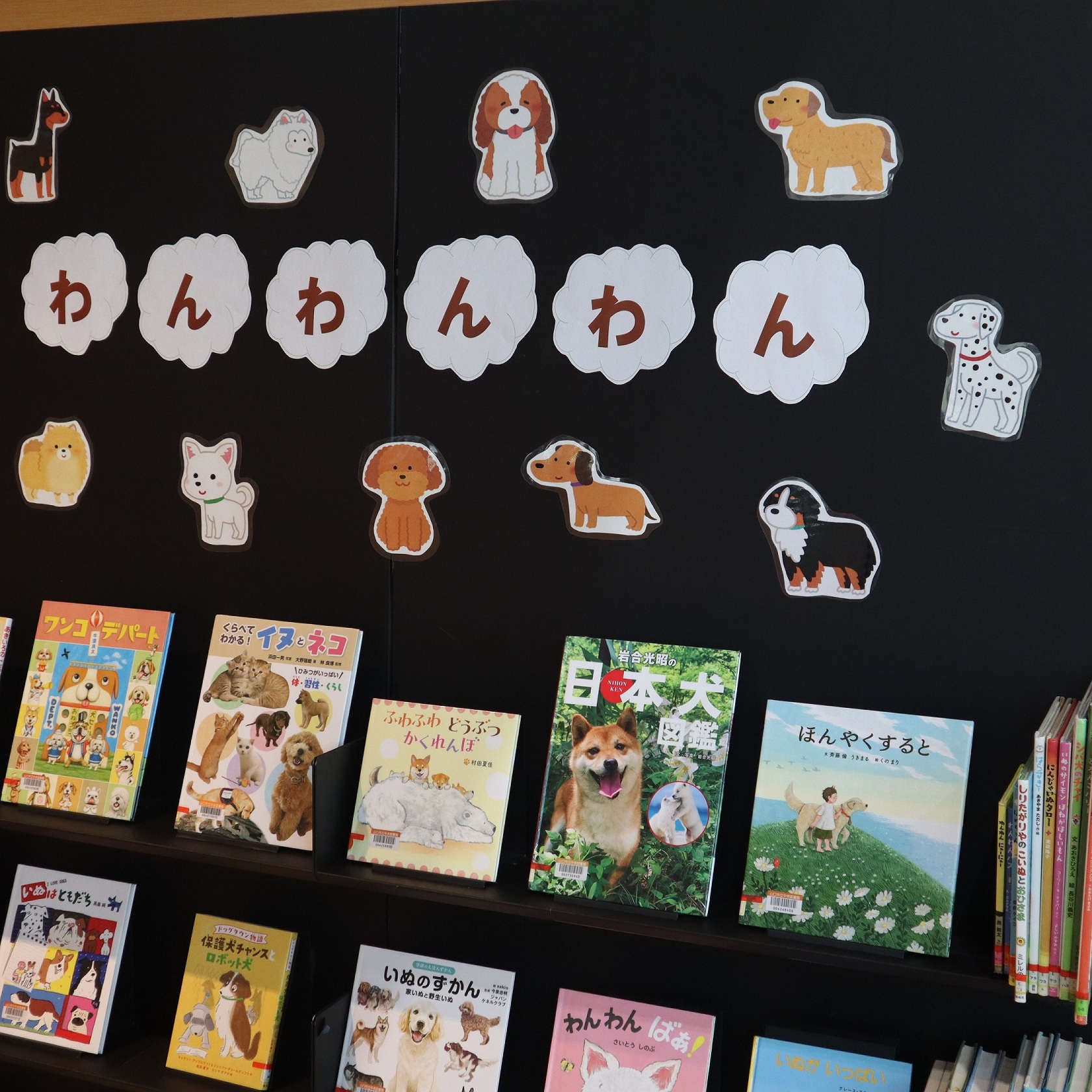 中央図書館こども企画展示の写真