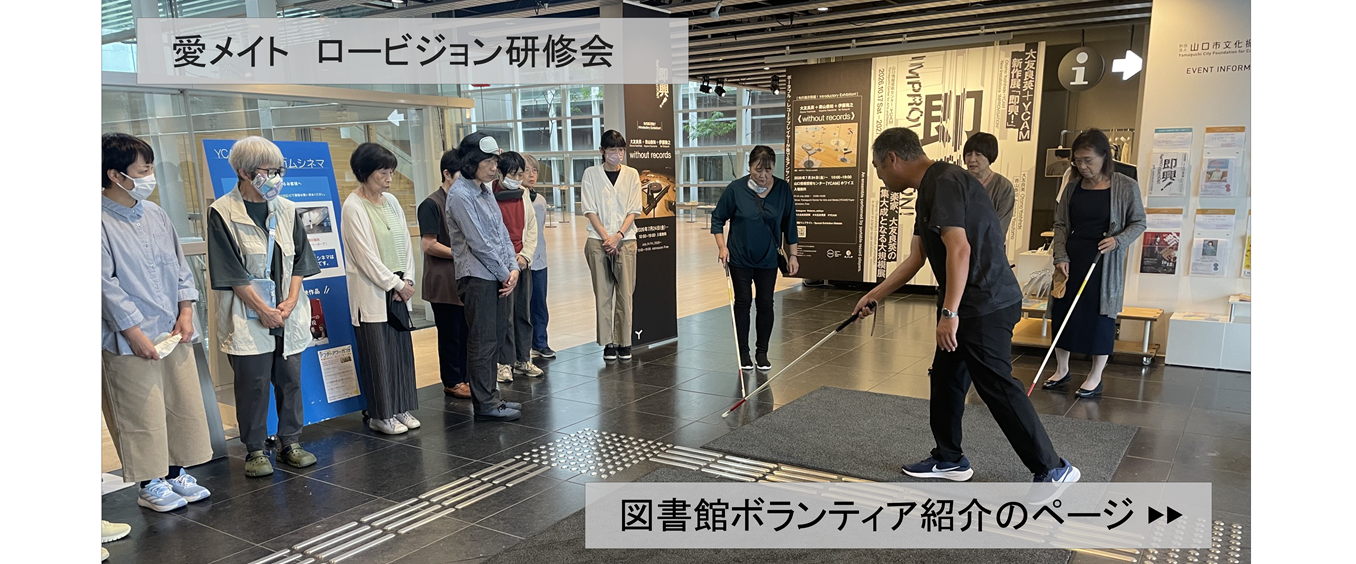 愛メイト　ロービジョン研修会の画像