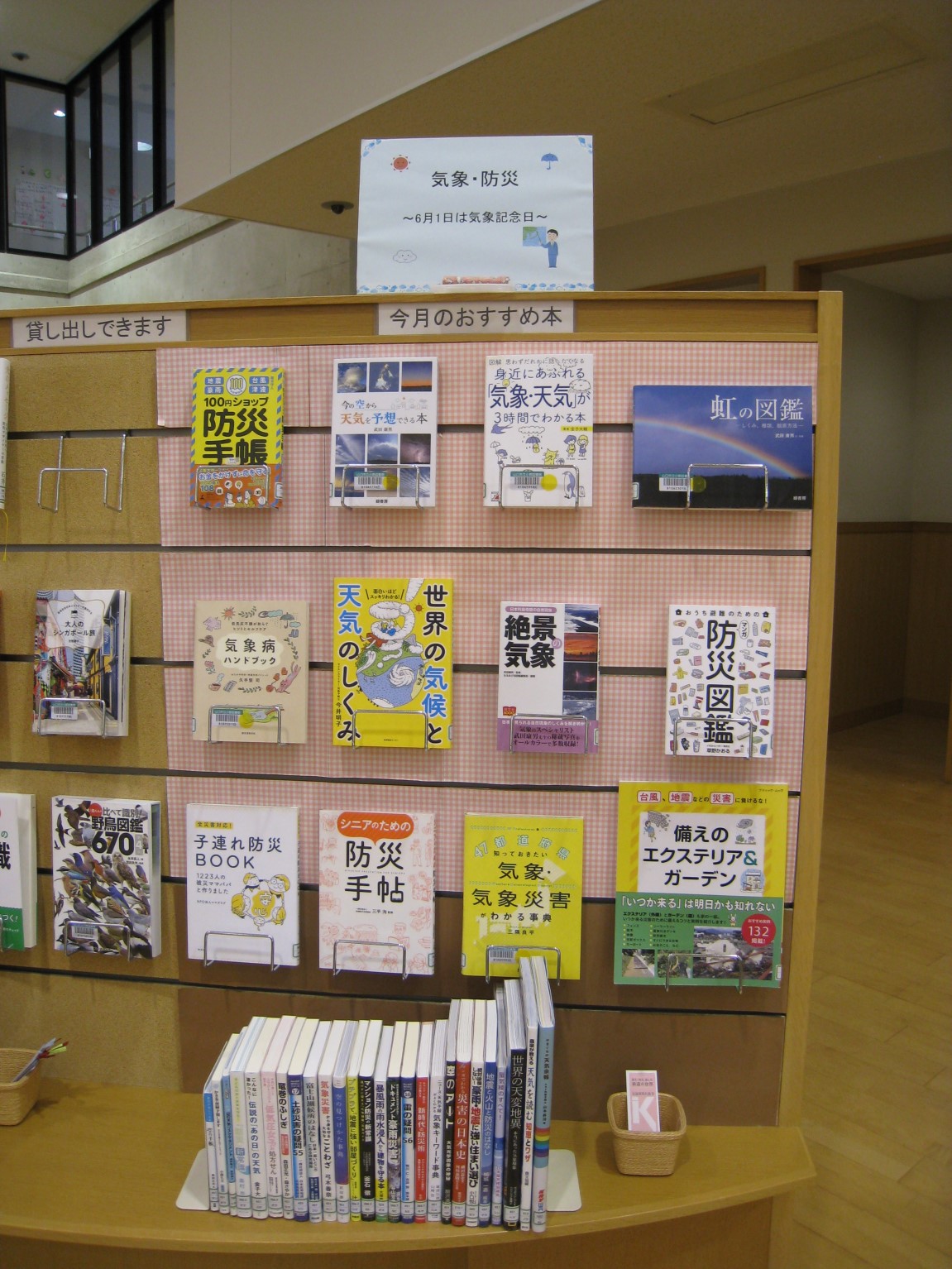 20230528-1.jpg