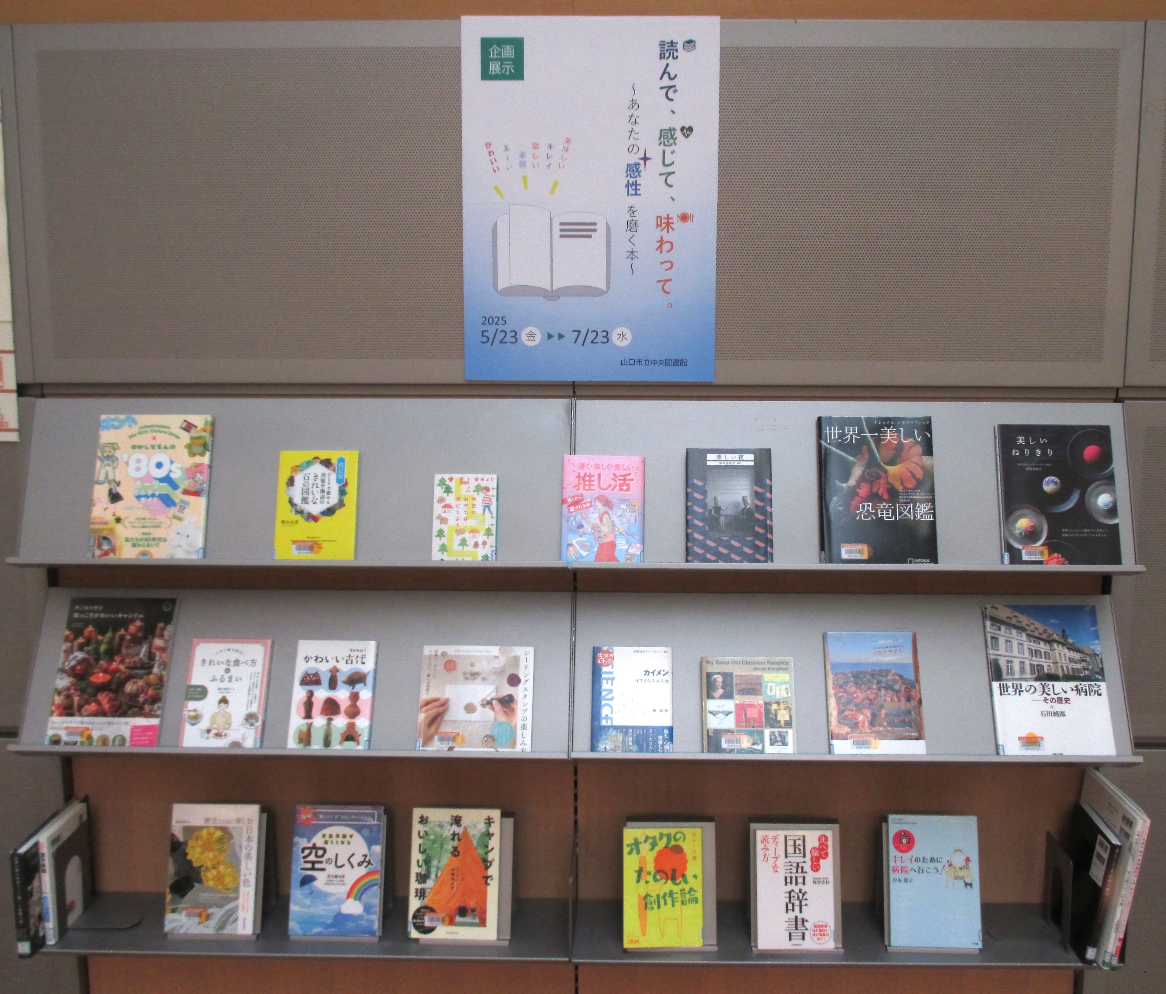 20250523-3.jpg