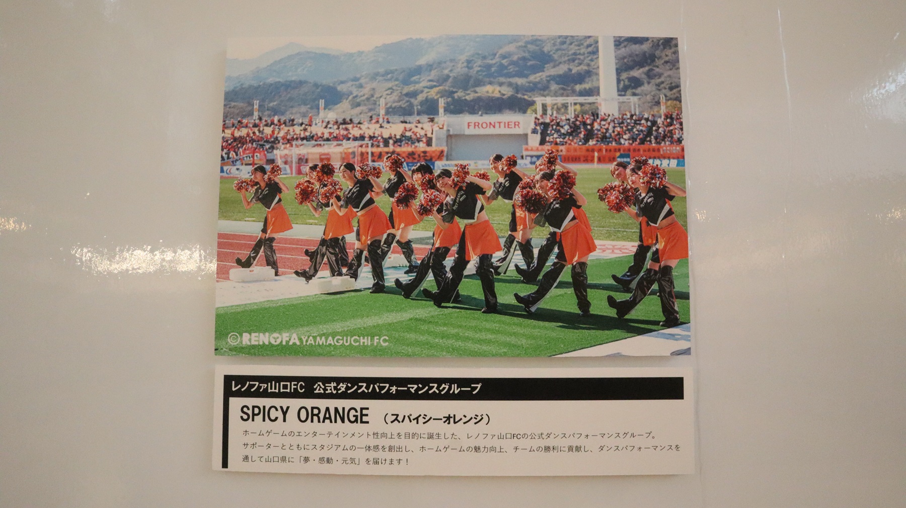 レノファコーナー５